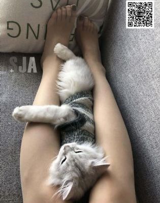 天堂Av无码Av一区二区三区-蓝光字幕高清视频播放