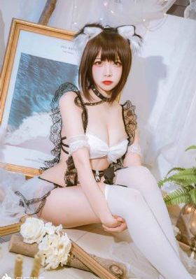 成年女人毛片免费视频播放器-百度不卡在线观看